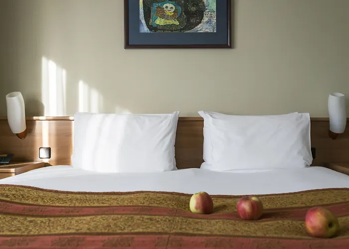 ホテル ベスト バルティック 4*